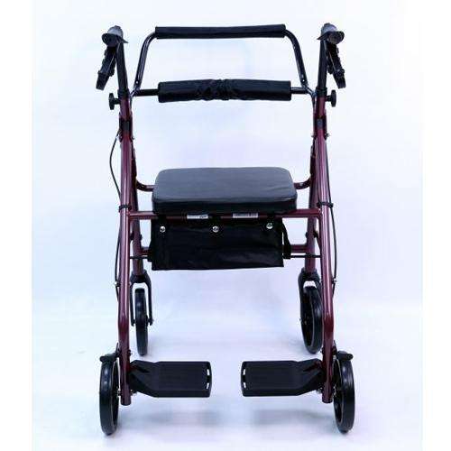 two in one walker