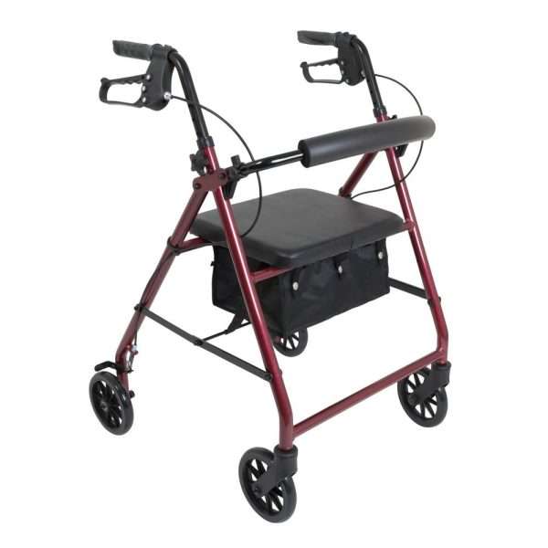 ProBasics Deluxe Aluminum Rollator with 8-inch Wheels