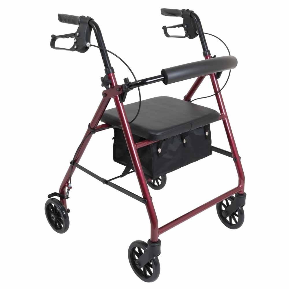 ProBasics Aluminum Rollator with 6-inch Wheels