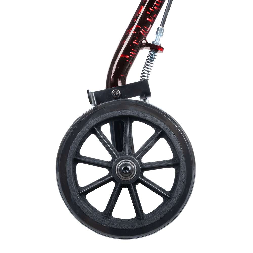 ProBasics Aluminum Rollator with 6-inch Wheels