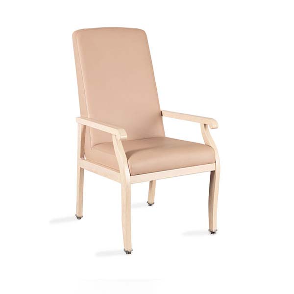 Medacure Hamilton Resident Arm Chair