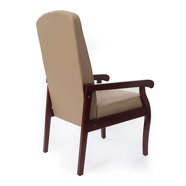 Medacure Hamilton Resident Arm Chair