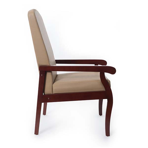 Medacure Hamilton Resident Arm Chair