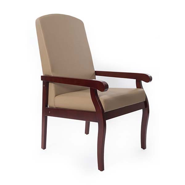 Medacure Hamilton Resident Arm Chair